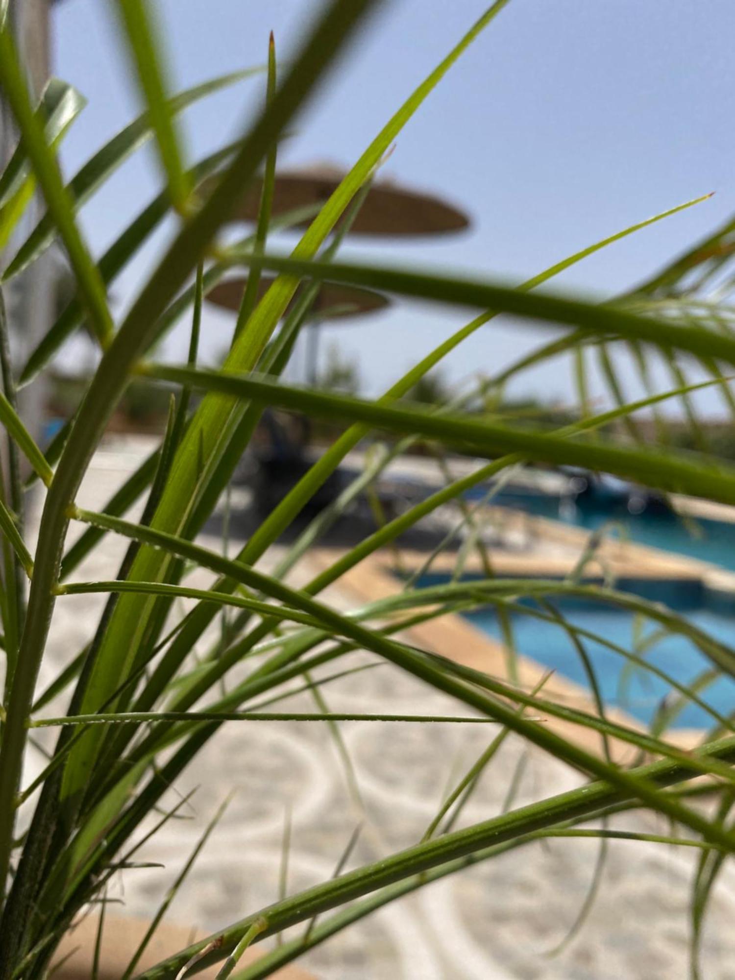 Cherfa Elegance And Comfort Villa Essaouira