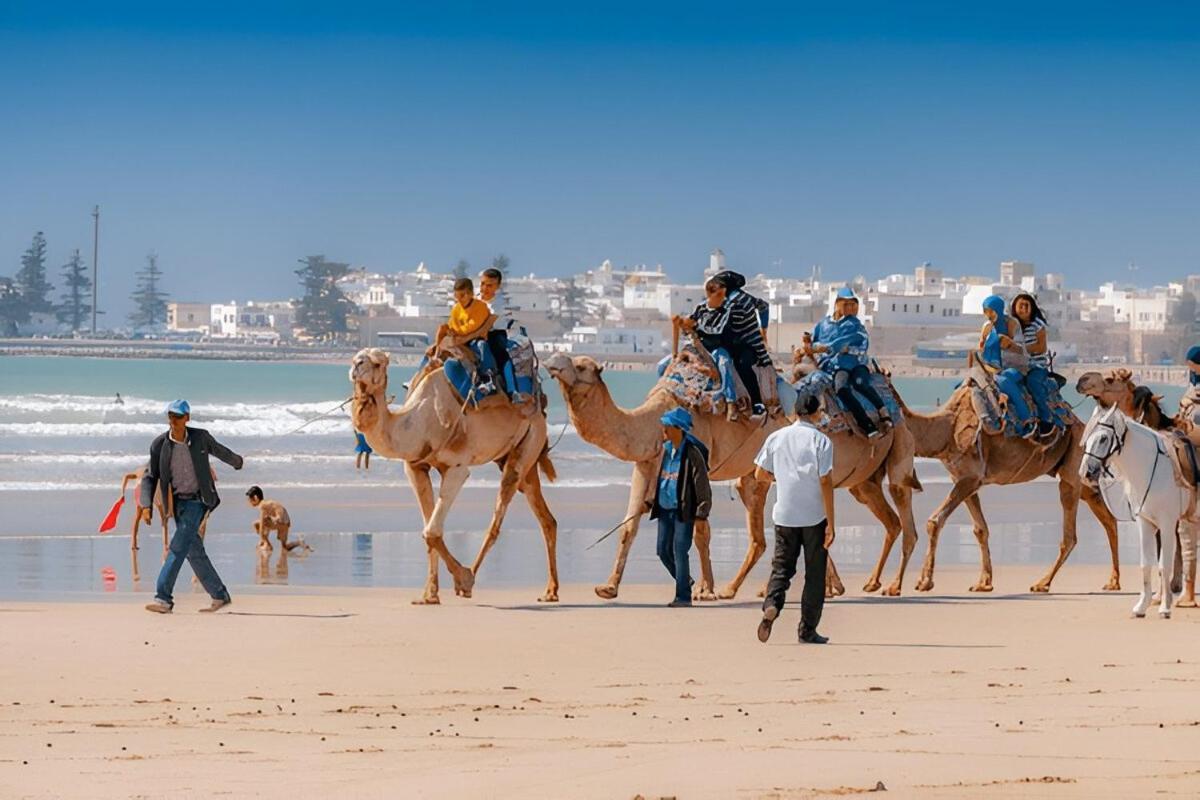 Cherfa Elegance And Comfort Essaouira